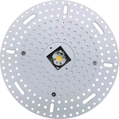 DLSA-CCT-W