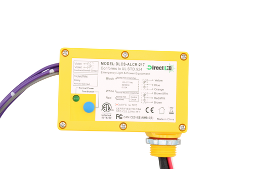 DLCS-ALCR-217