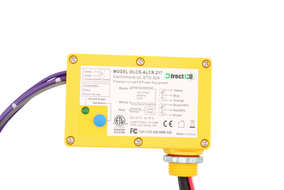 DLCS-ALCR-217