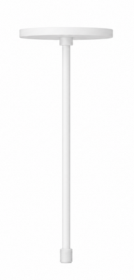 DLM2-ROD-6